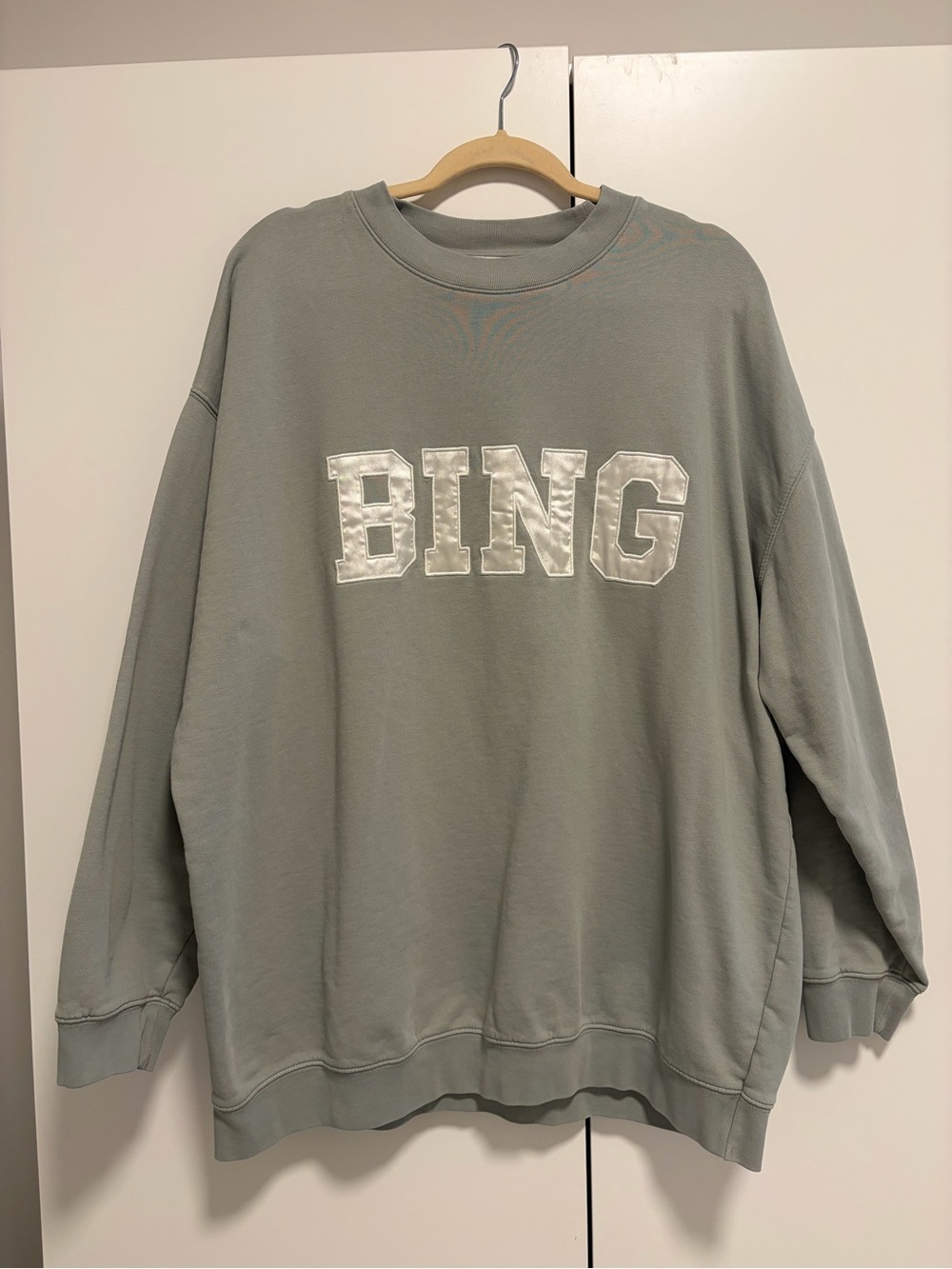 Anine Bing Light Sage Tyler Sweatshirt